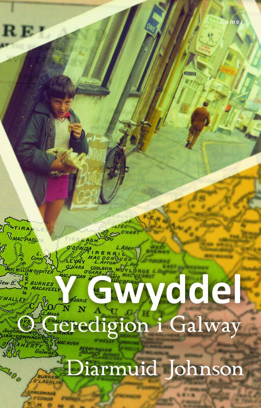 A picture of 'Y Gwyddel - O Geredigoin i Galway' 
                              by Diarmuid Johnson