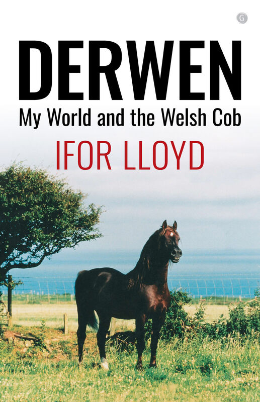 A picture of 'Welsh Ponies and Cobs - Ceredigion Champions' 
                              by Wynne Davies
