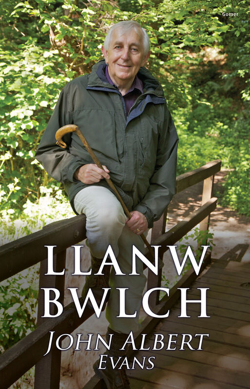 A picture of 'Llanw Bwlch' 
                              by John Albert Evans