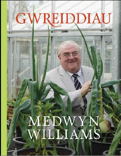 A picture of 'Gwreiddiau' 
                              by Medwyn Williams, Mari Emlyn