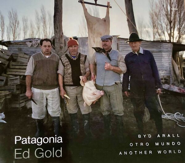 A picture of 'Patagonia - Byd Arall / Otro Mundo / Another World' 
                              by Ed Gold