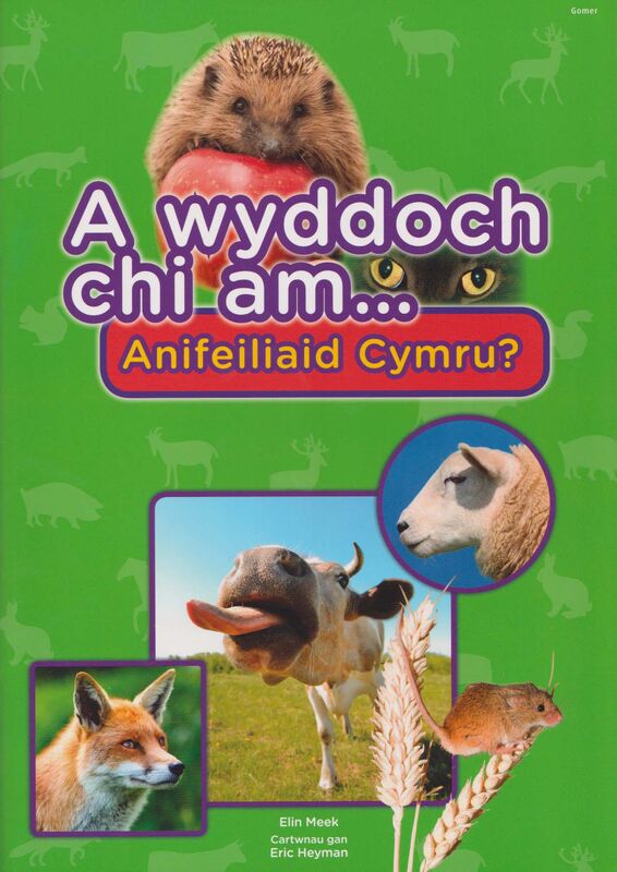 Llun o 'Cyfres a Wyddoch Chi: A Wyddoch Chi am Anifeiliaid Cymru?' 
                              gan Elin Meek
