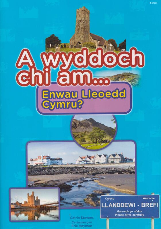 A picture of 'Cyfres a Wyddoch Chi: A Wyddoch Chi am Enwau Lleoedd Cymru?' 
                              by Catrin Stevens