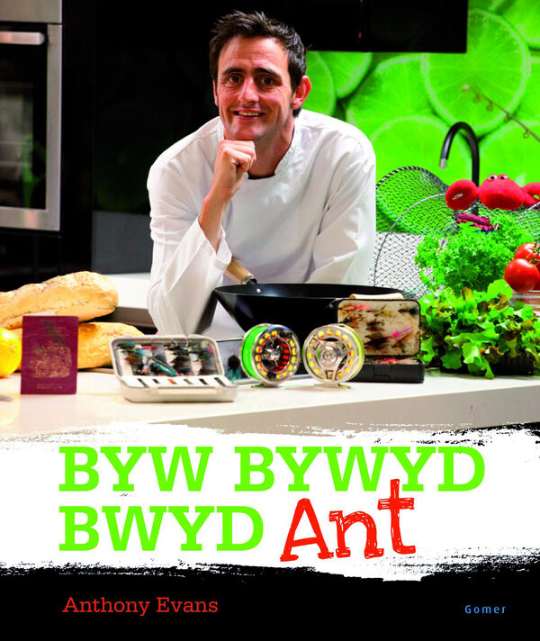 A picture of 'Byw, Bywyd, Bwyd Ant' 
                              by Anthony Evans