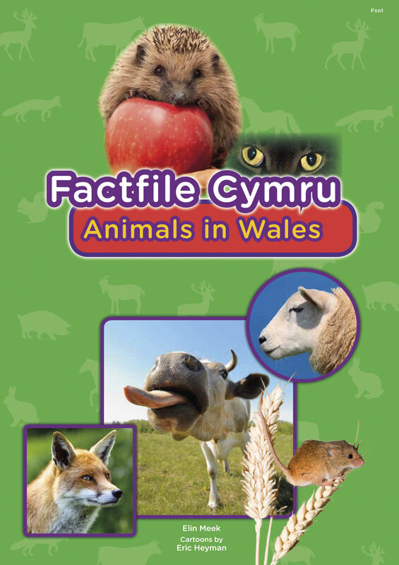 A picture of 'Factfile Cymru: Animals in Wales' 
                              by Elin Meek