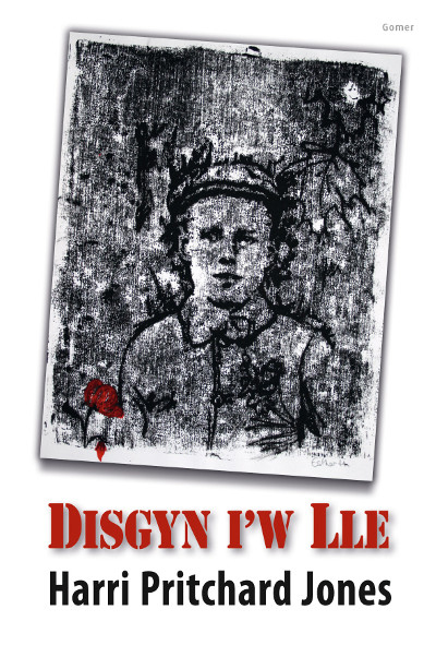 A picture of 'Disgyn i'w Lle' 
                              by Harri Pritchard Jones