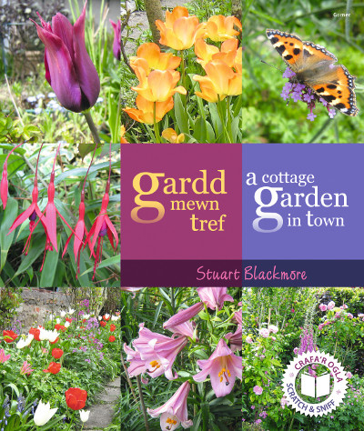A picture of 'Gardd Mewn Tref/A Cottage Garden in Town' 
                              by Stuart Blackmore