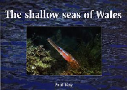 A picture of 'The Shallow Seas of Wales' 
                              by Paul Kay