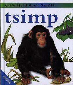 A picture of 'Cyfres Anifeiliaid Bach Gwyllt: Tsimp' 
                              by Jinny Johnson