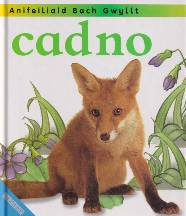 A picture of 'Cyfres Anifeiliaid Bach Gwyllt: Cadno' 
                              by Jinny Johnson