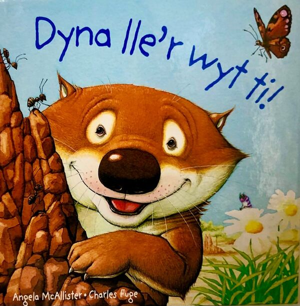 A picture of 'Dyna lle'r wyt ti' 
                              by Angela McAllister