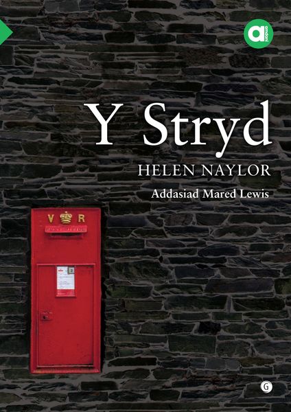 A picture of 'Cyfres Amdani: Y Stryd' 
                              by Helen Naylor