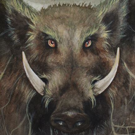 Welsh mythology inspires new novel during 'Year of Legends'
